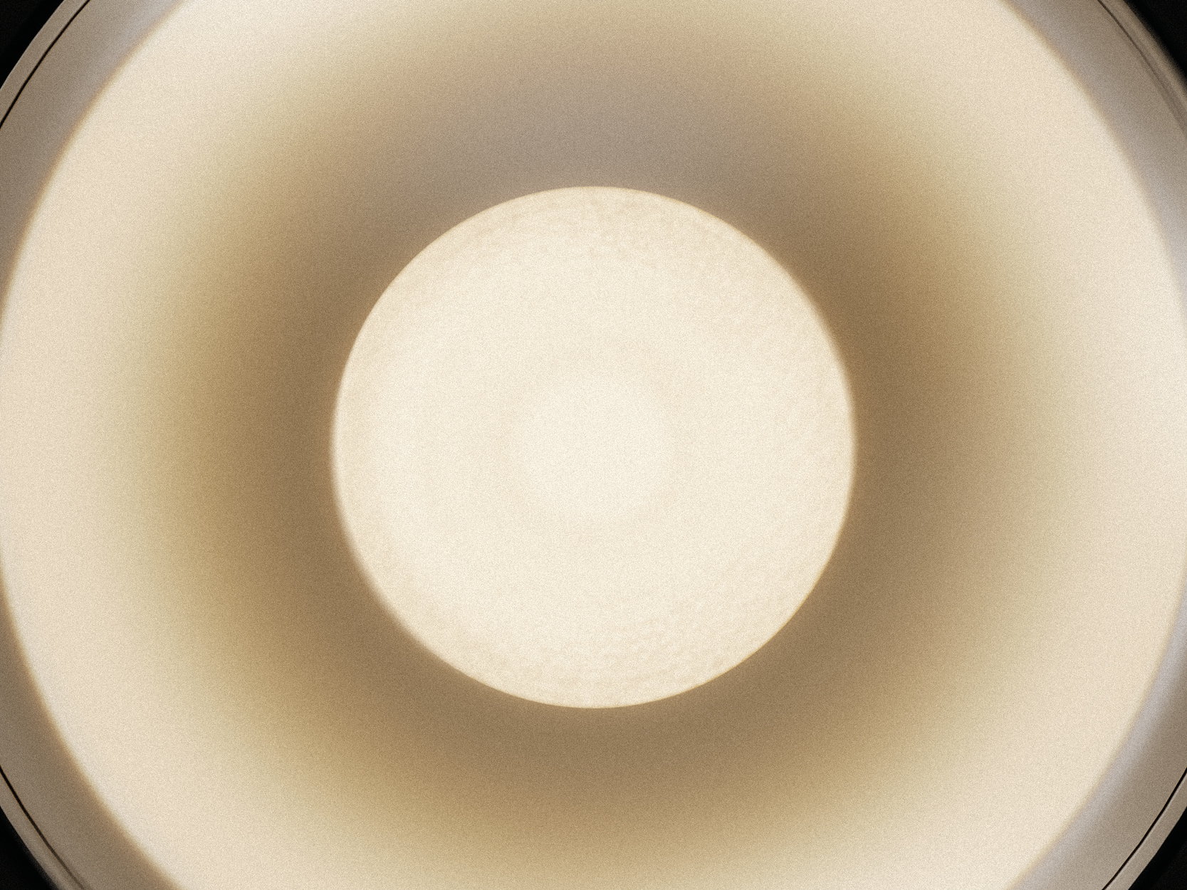 BUG HALO